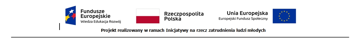 Logo Europejskiego Funduszu Społecznego, Flaga Rzeczpospolitej, Uni Europejskie